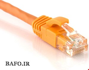 Cat6 bafo 0.6M